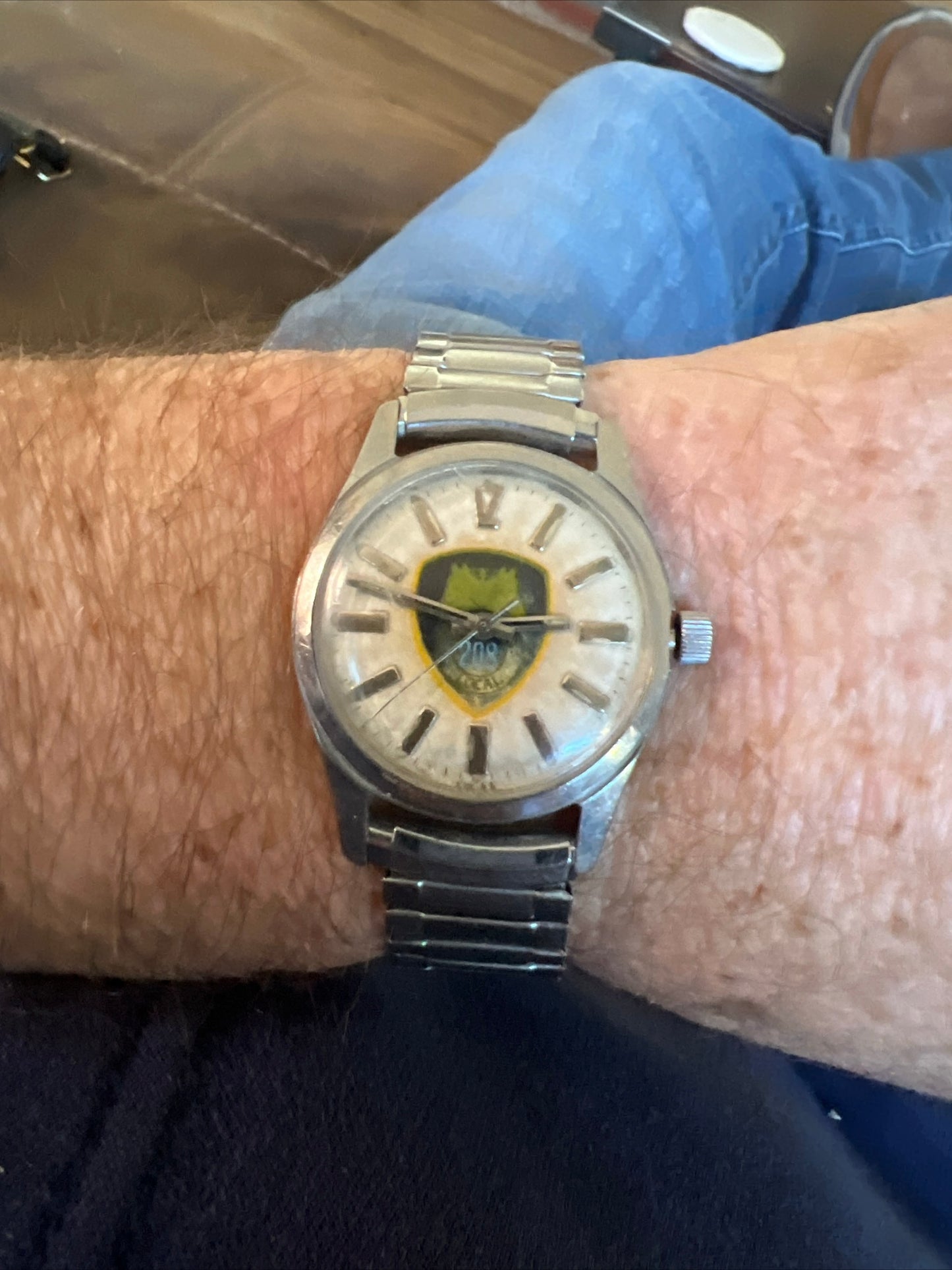 Vintage 1950’s Swiss made Teamster 208 union watch.