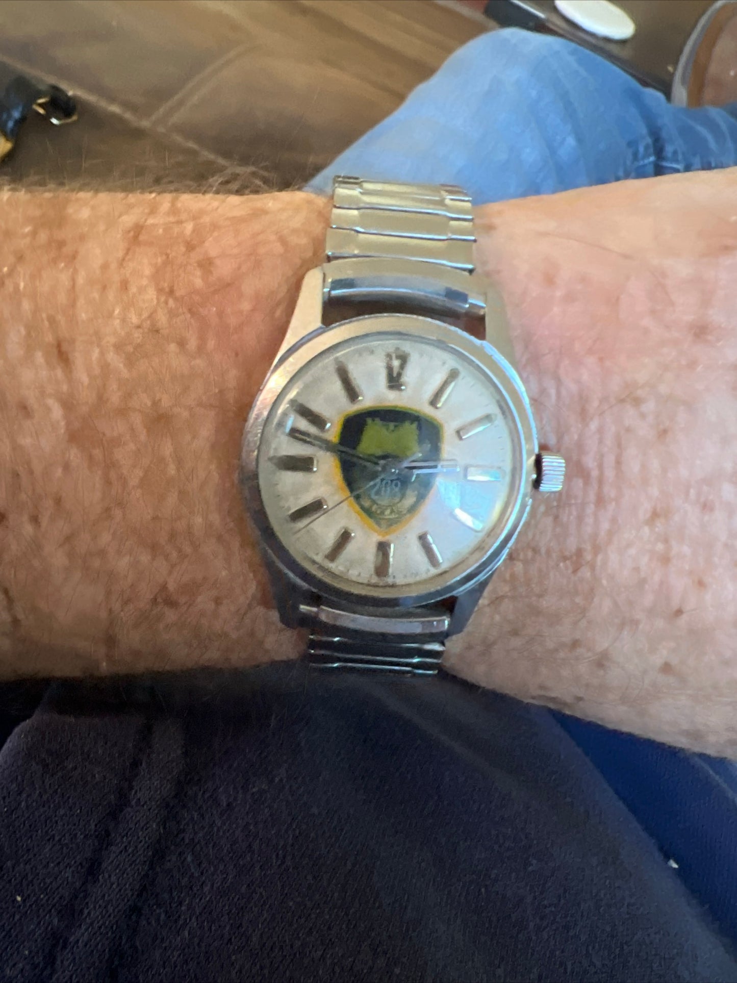 Vintage 1950’s Swiss made Teamster 208 union watch.