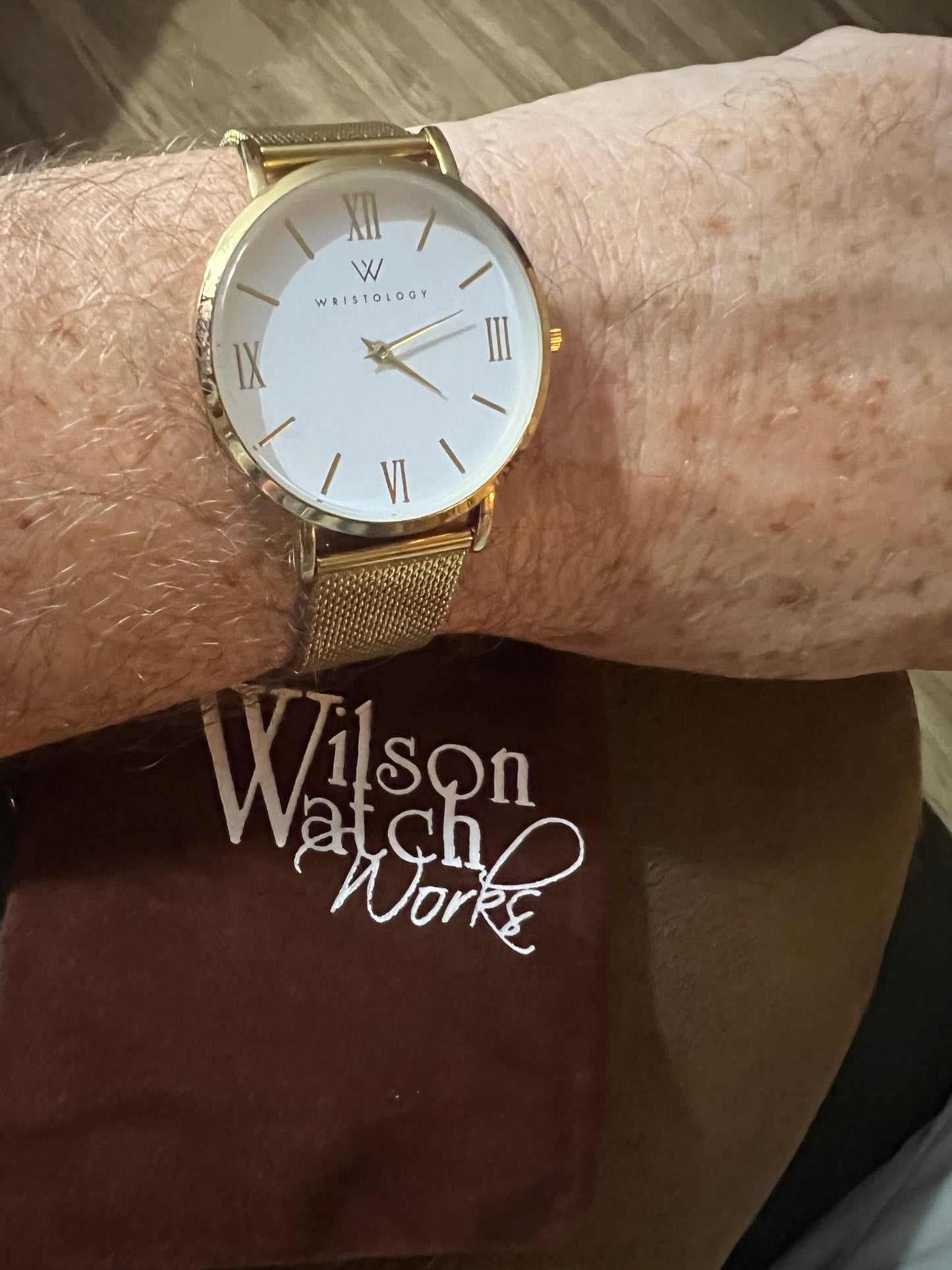 Men’s Wristology Stella gold tone watch. NWOT. Comes with gift bag.