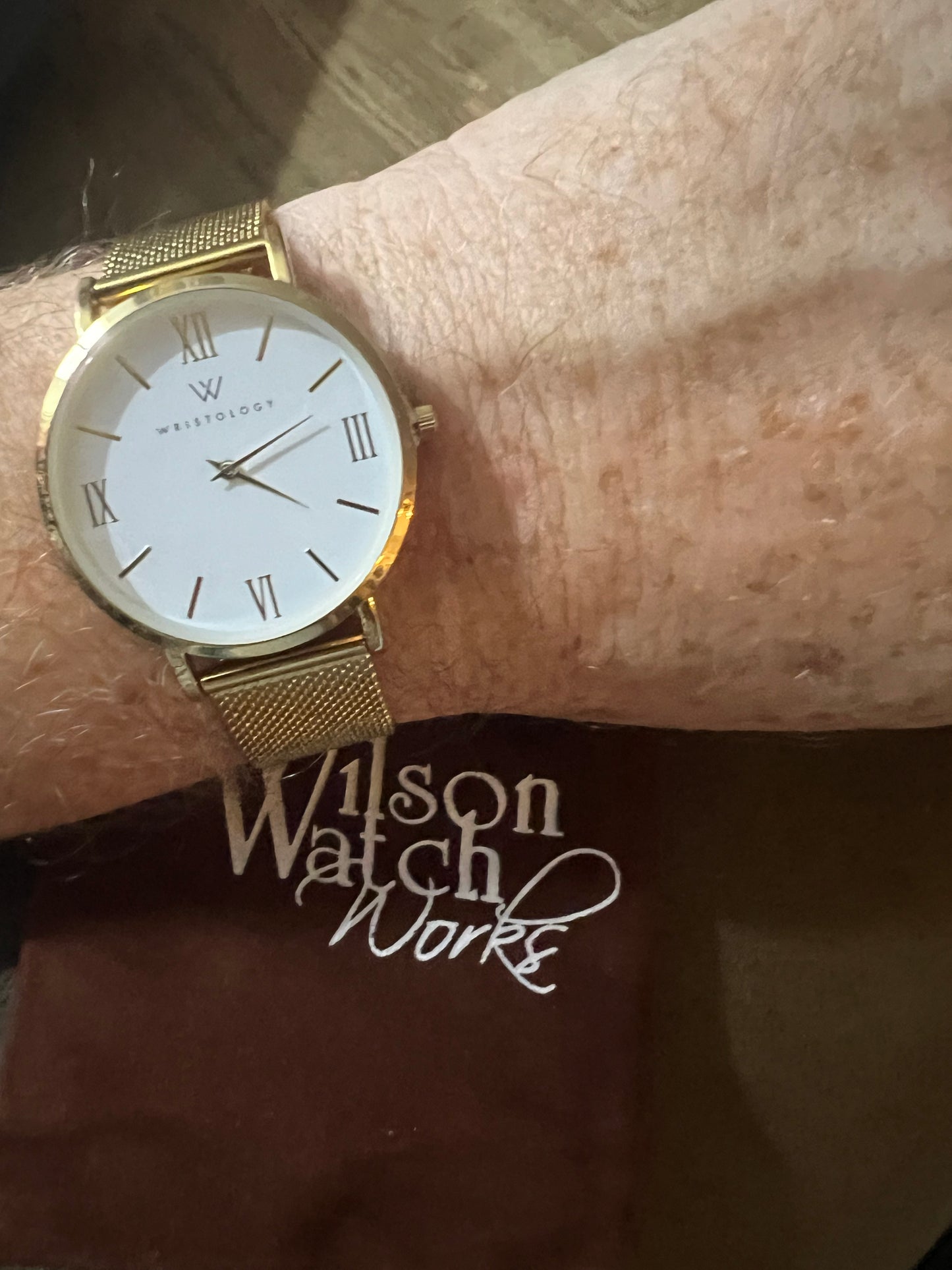 Men’s Wristology Stella gold tone watch. NWOT. Comes with gift bag.