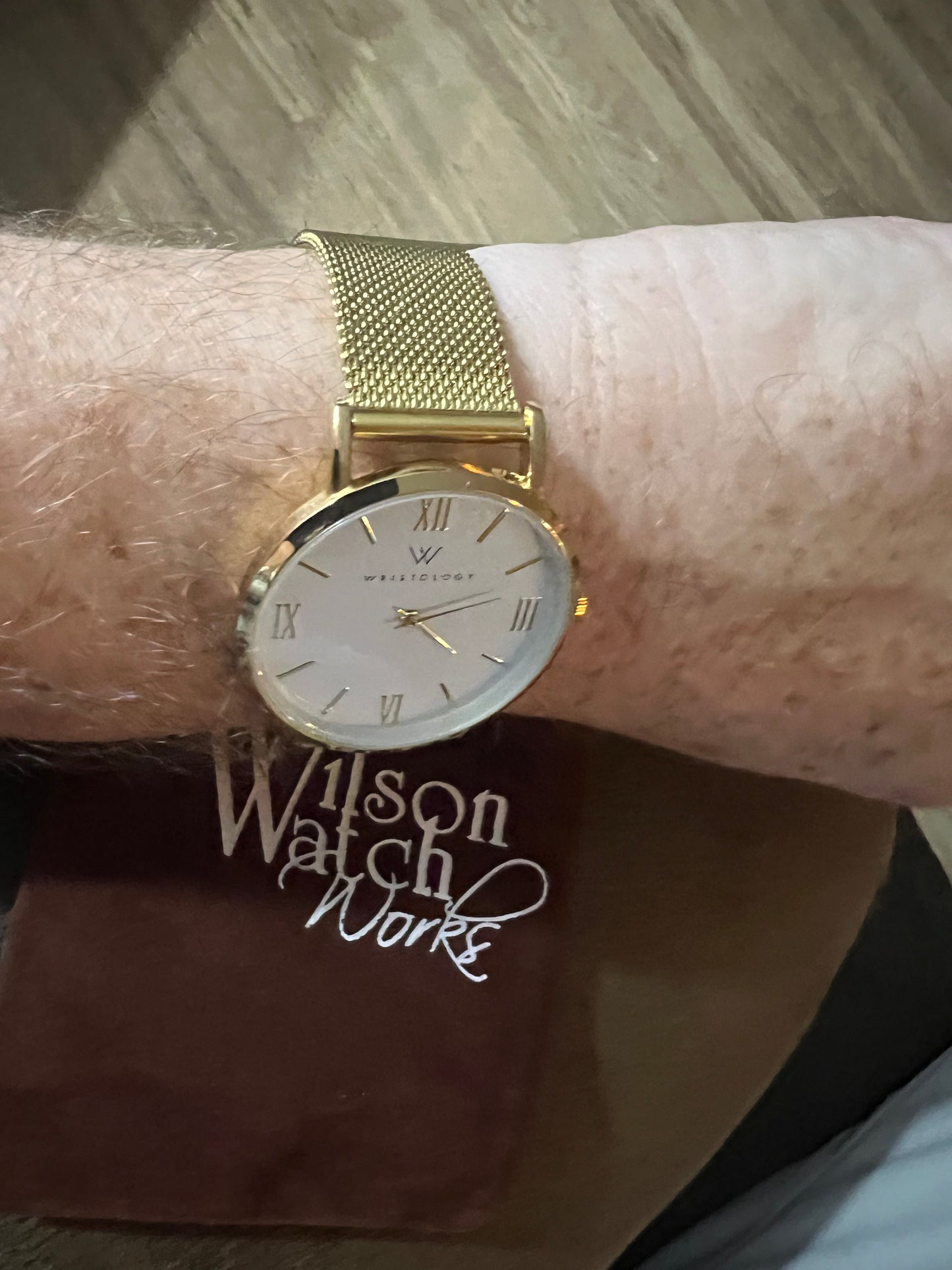 Men’s Wristology Stella gold tone watch. NWOT. Comes with gift bag.