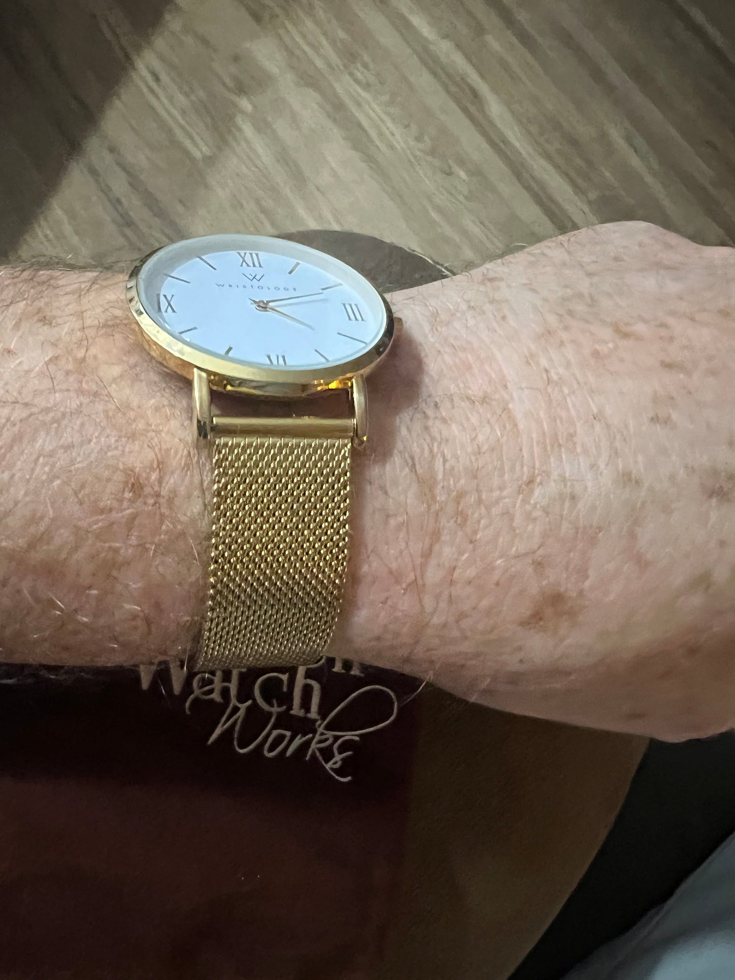 Men’s Wristology Stella gold tone watch. NWOT. Comes with gift bag.