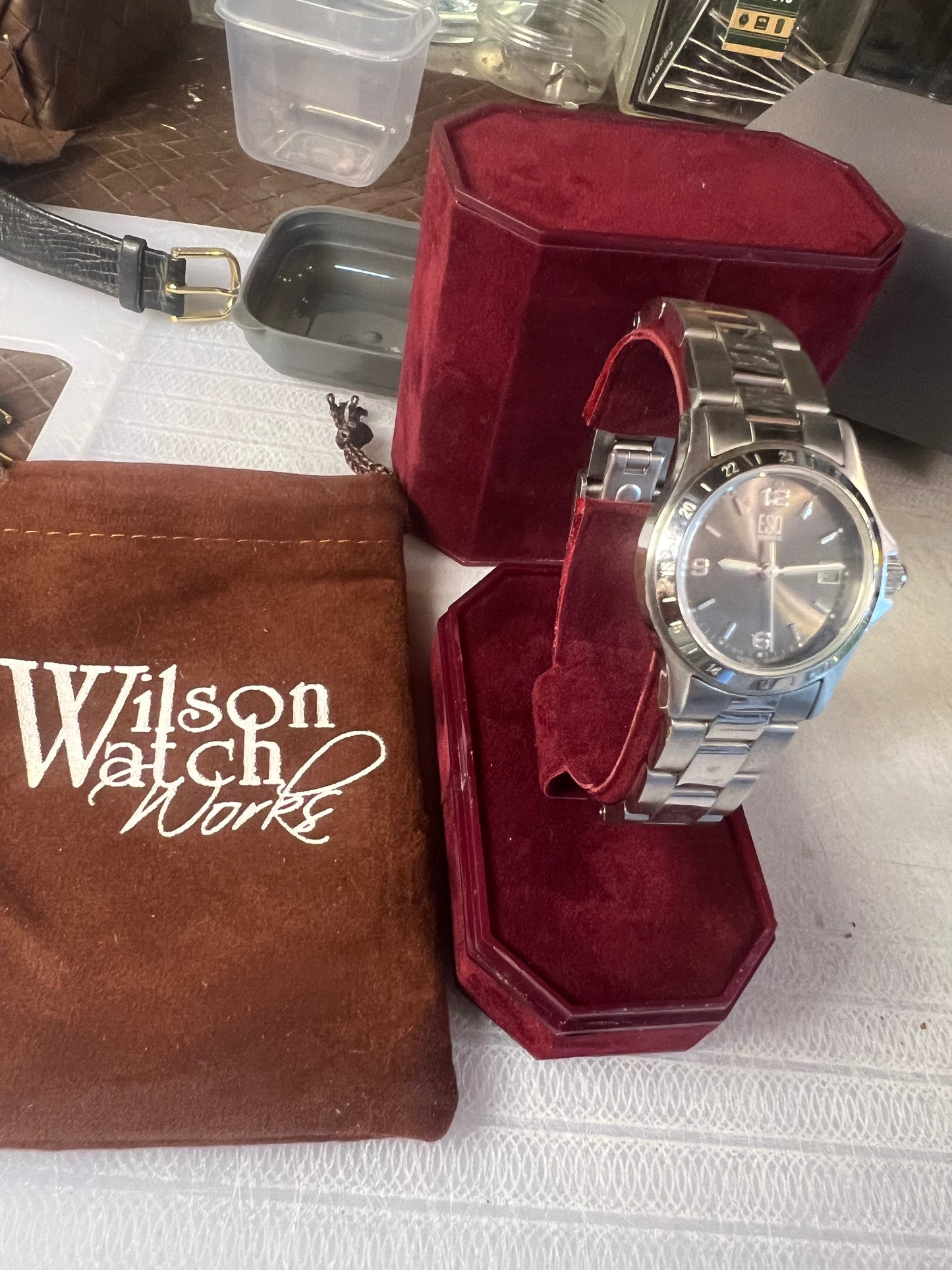 ESQ Swiss Stainless Steel Ladies Dainty Watch B8 E5100